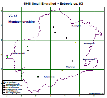 map map