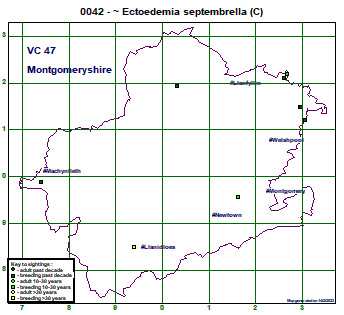 map map
