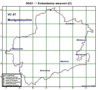 map map