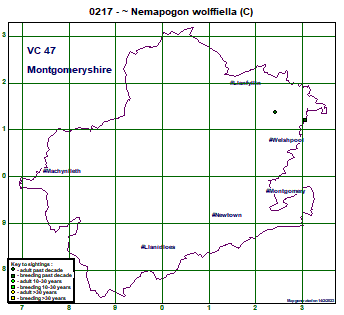 map map