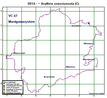 map map