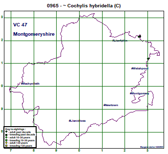 map map