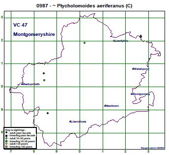 map map
