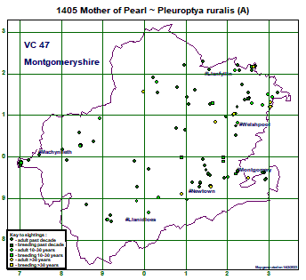 map map
