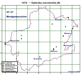 map map