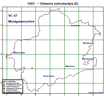 map map