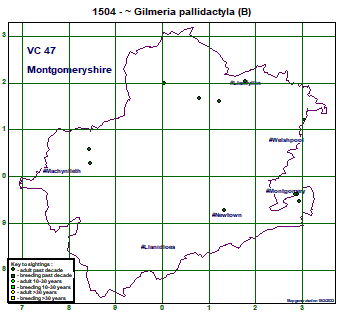map map